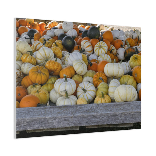 Autumn Pumpkin Canvas Wall Art
