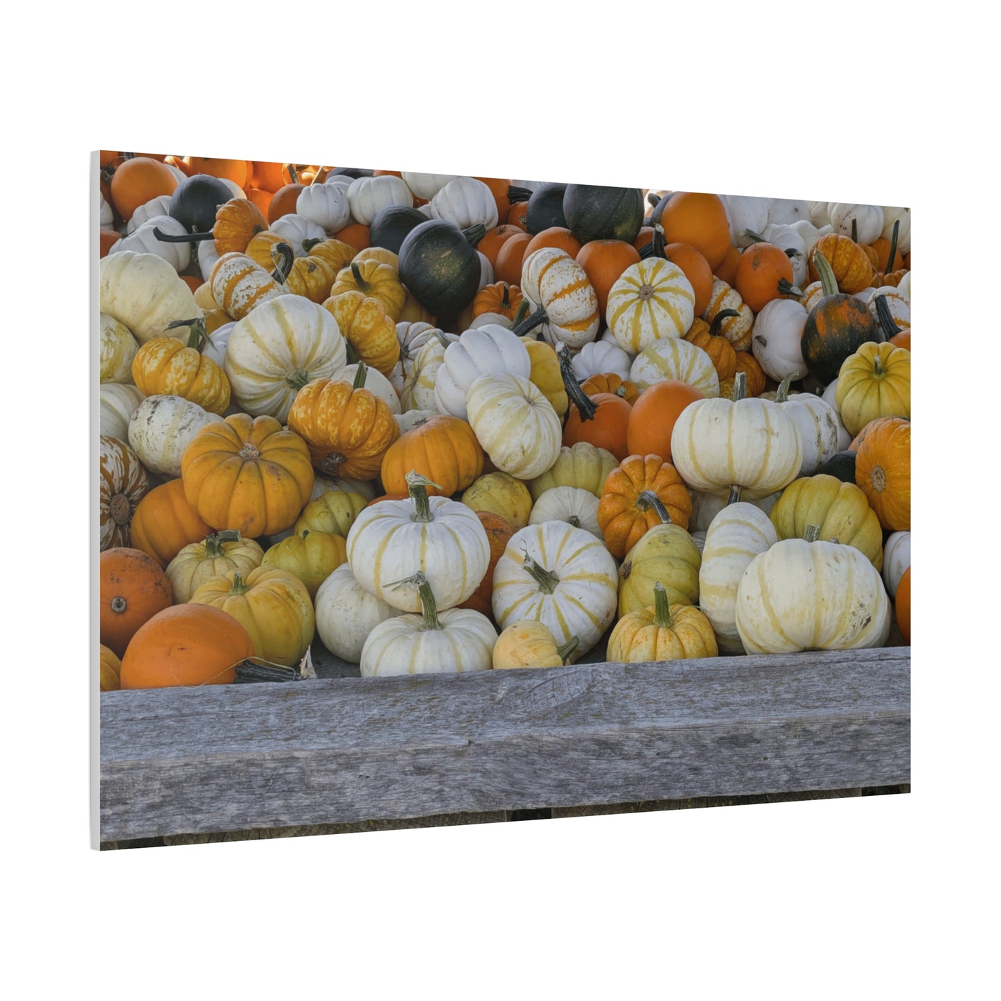 Autumn Pumpkin Canvas Wall Art