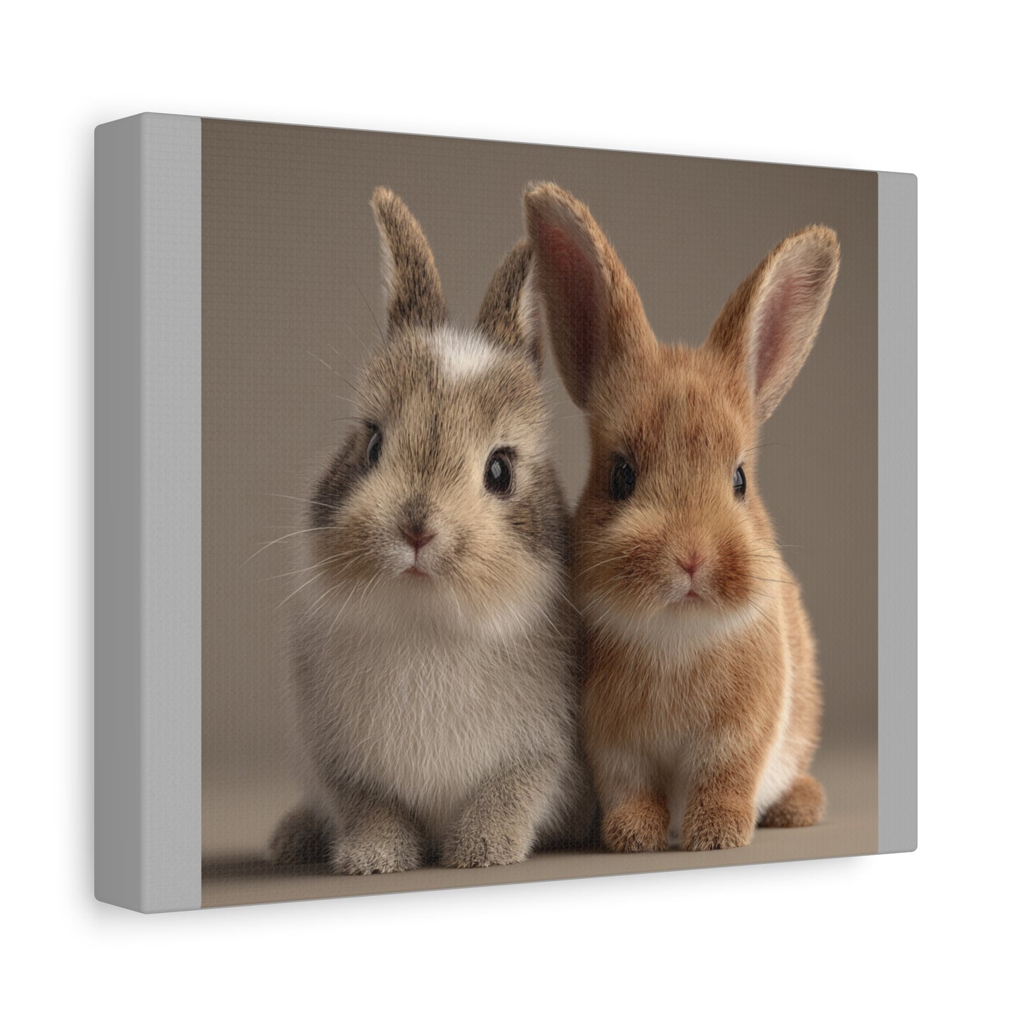 Canvas Print Baby Bunnies