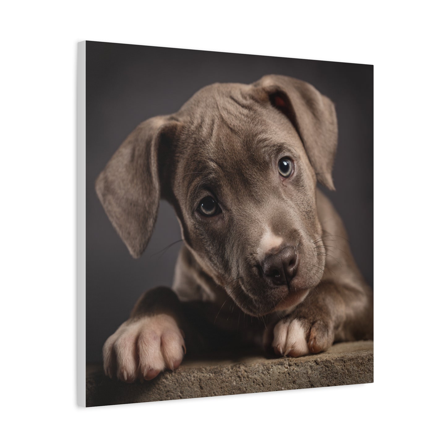 Puppy Portrait Canvas Art