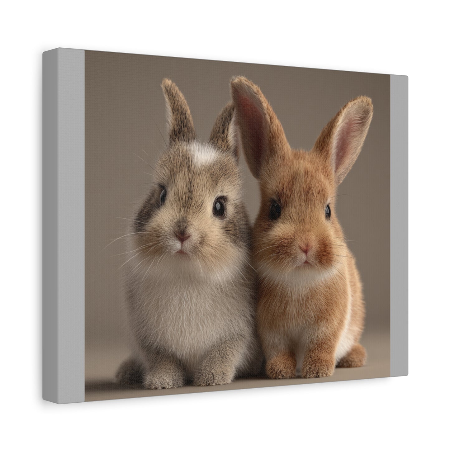 Canvas Print Baby Bunnies