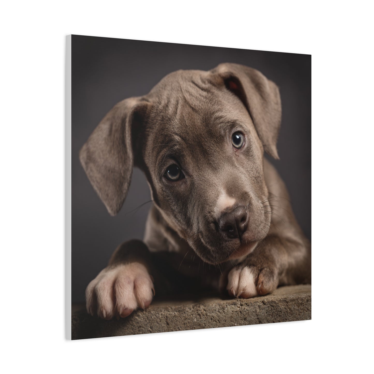 Puppy Portrait Canvas Art
