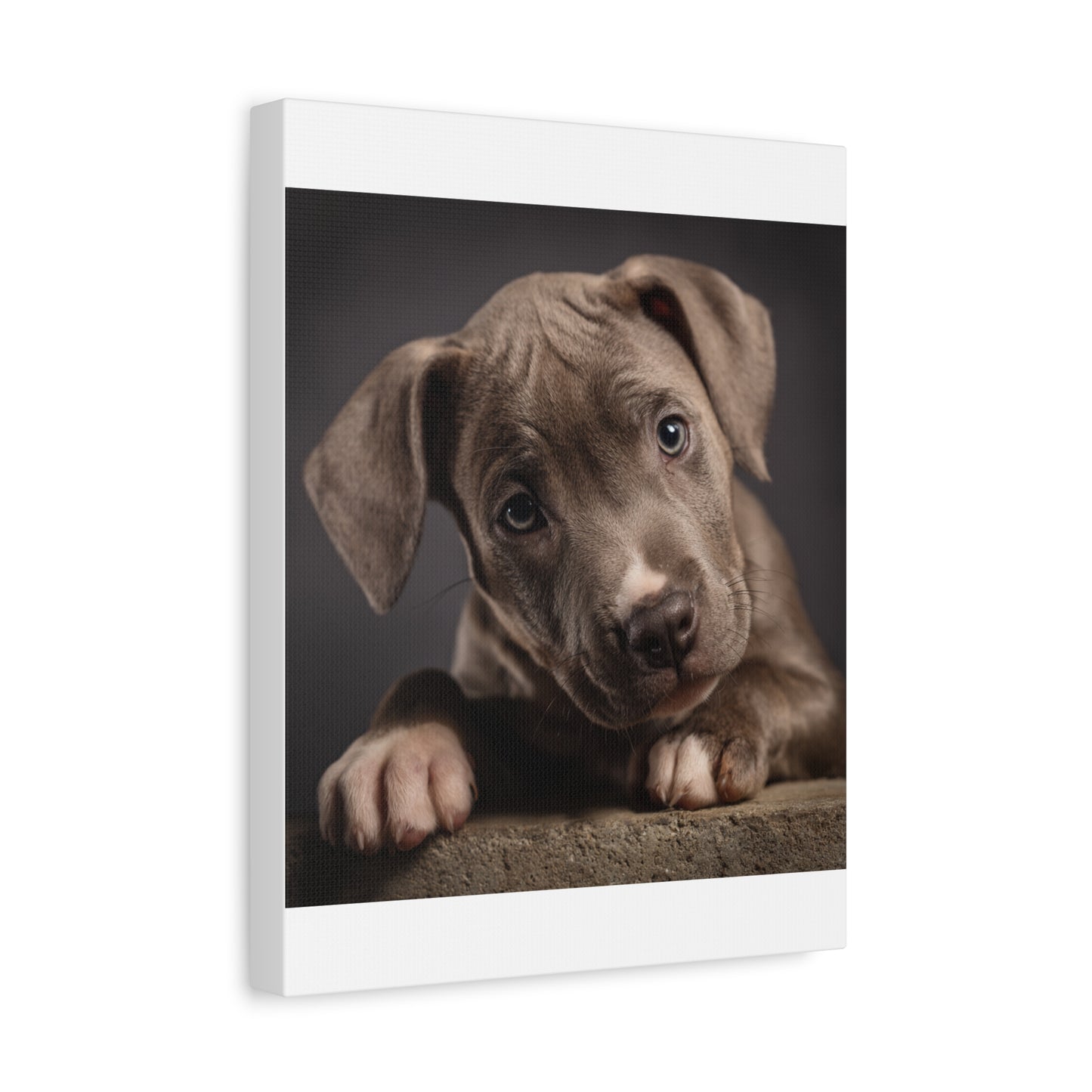 Puppy Portrait Canvas Art