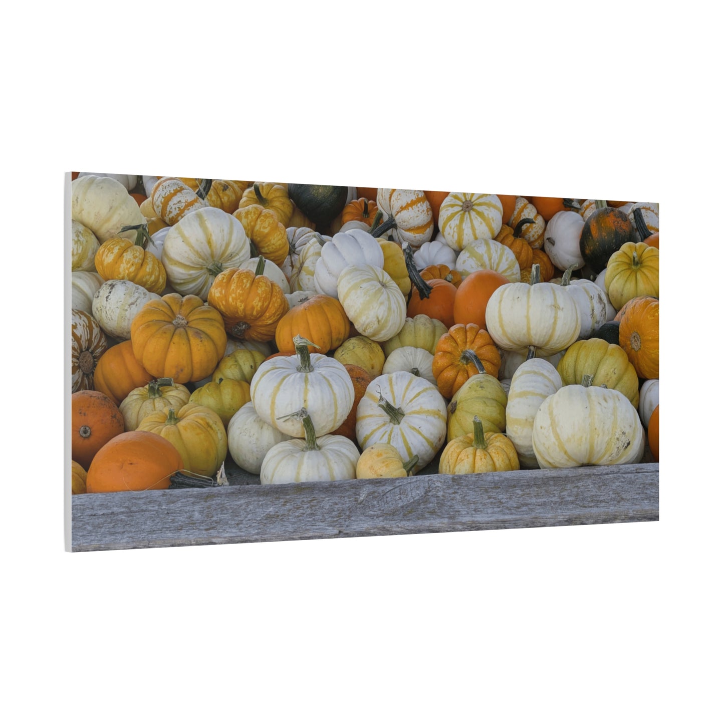Autumn Pumpkin Canvas Wall Art