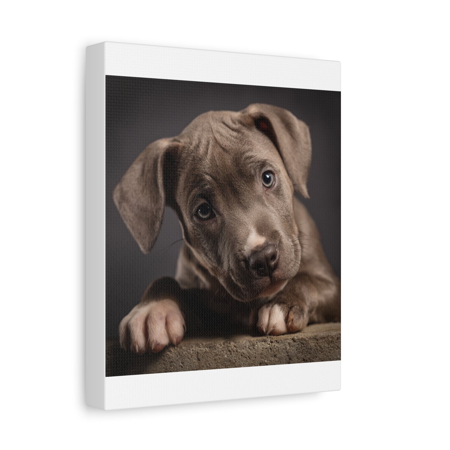 Puppy Portrait Canvas Art
