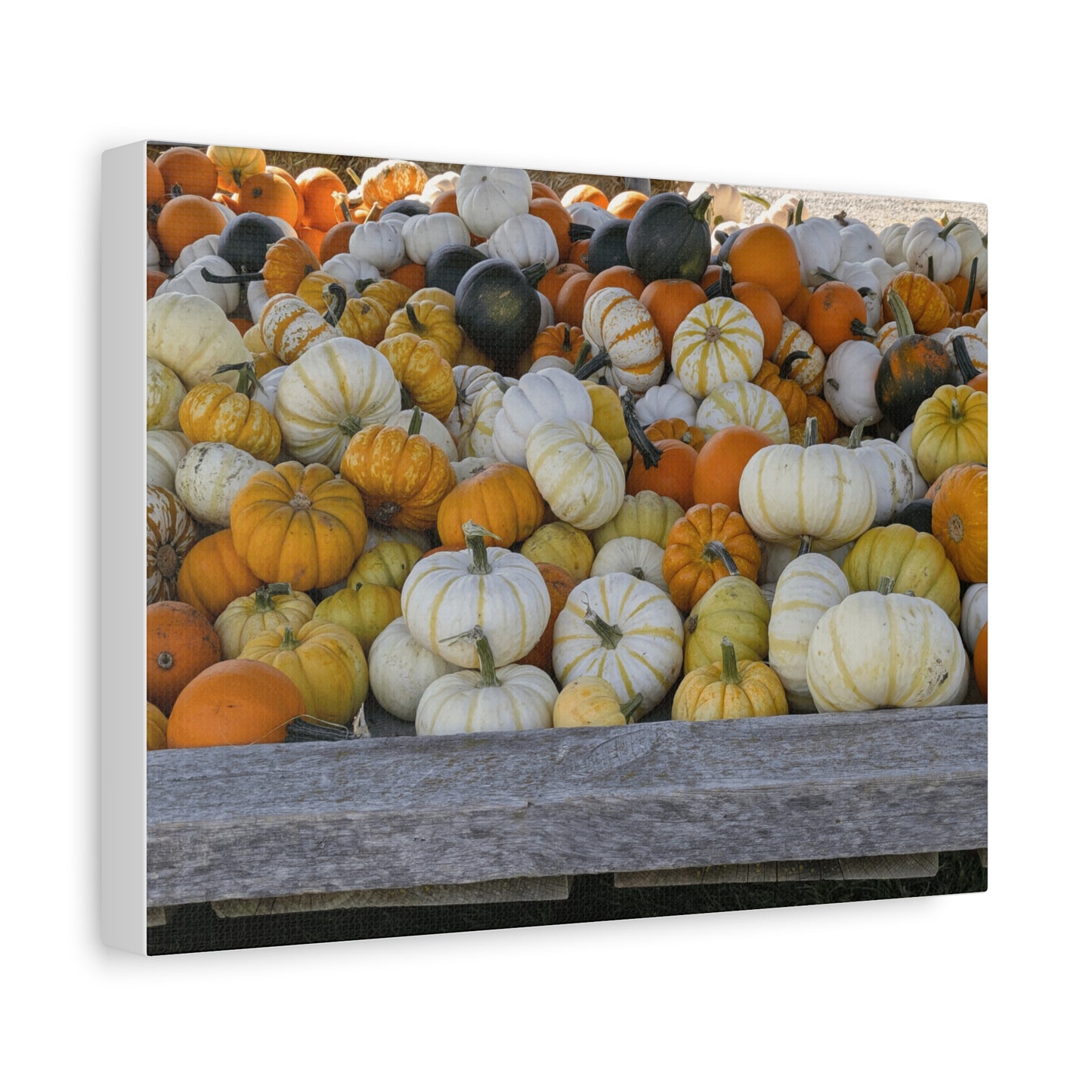 Autumn Pumpkin Canvas Wall Art