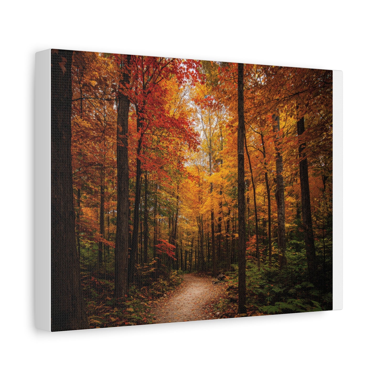 Canvas Wall Art, Autumn Forest Scene, Home Decor, Nature Print, Gift for Nature Lovers, Fall Decoration, Cozy Living Room Art