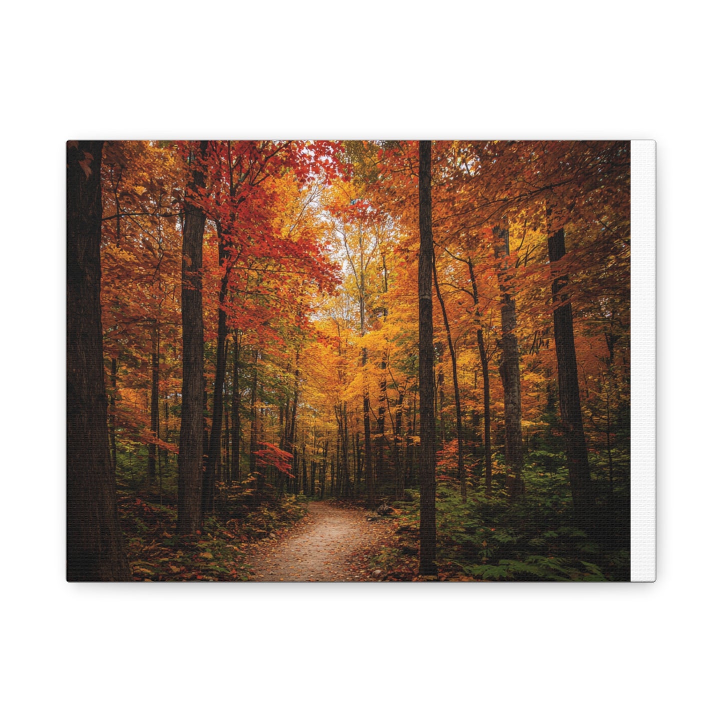 Canvas Wall Art, Autumn Forest Scene, Home Decor, Nature Print, Gift for Nature Lovers, Fall Decoration, Cozy Living Room Art