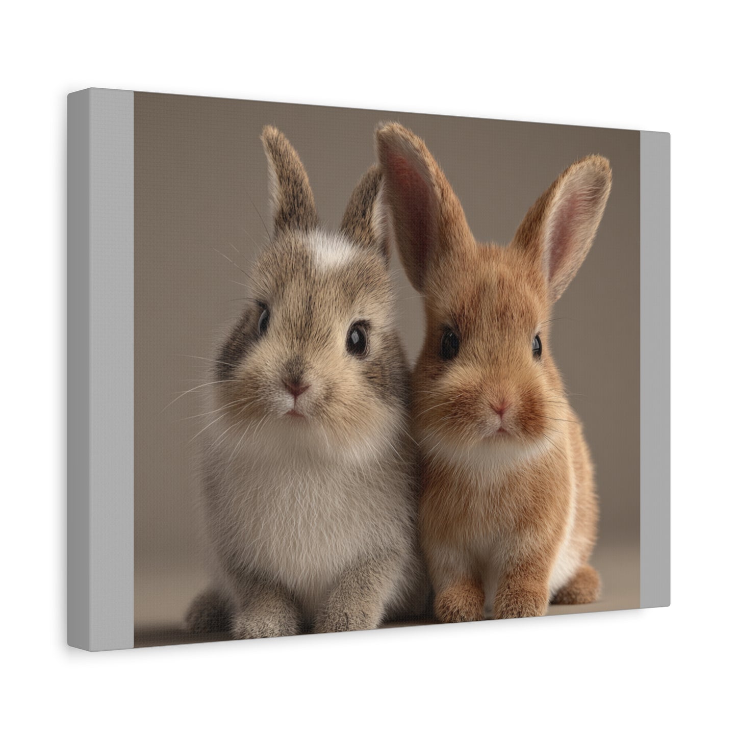 Canvas Print Baby Bunnies