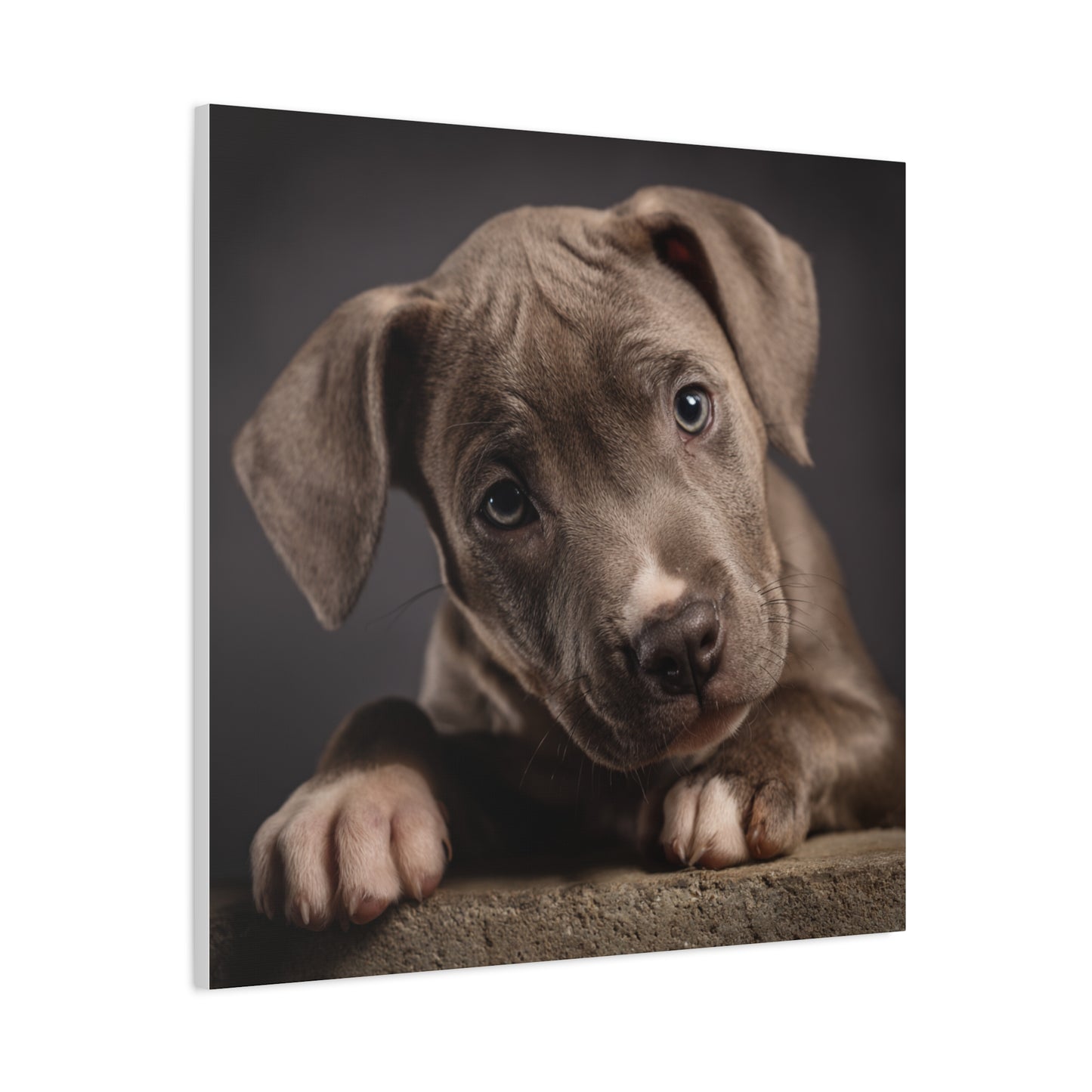 Puppy Portrait Canvas Art