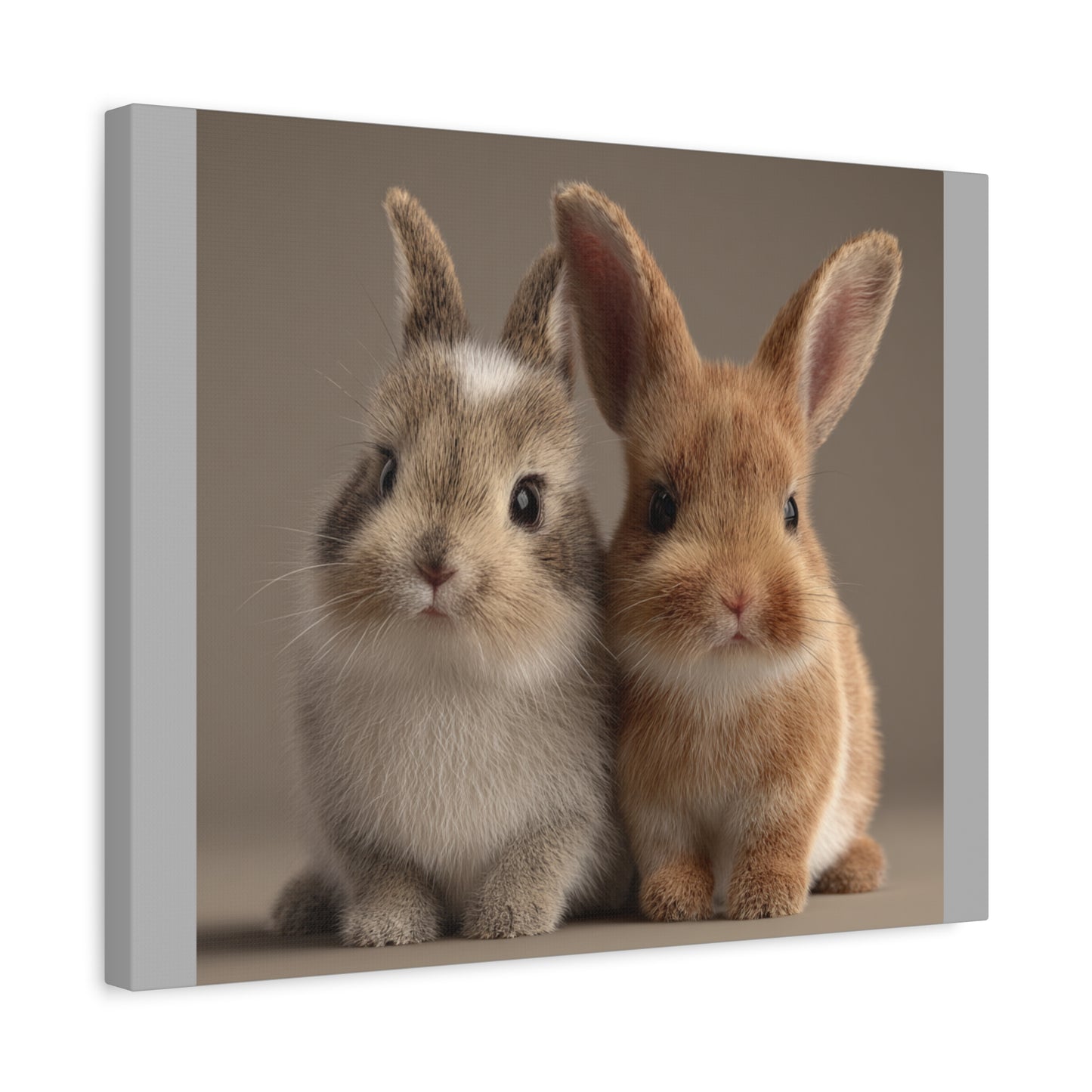 Canvas Print Baby Bunnies