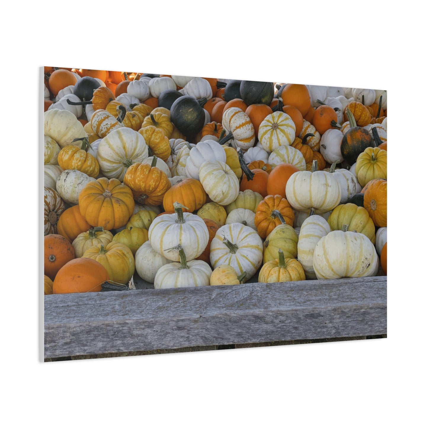 Autumn Pumpkin Canvas Wall Art