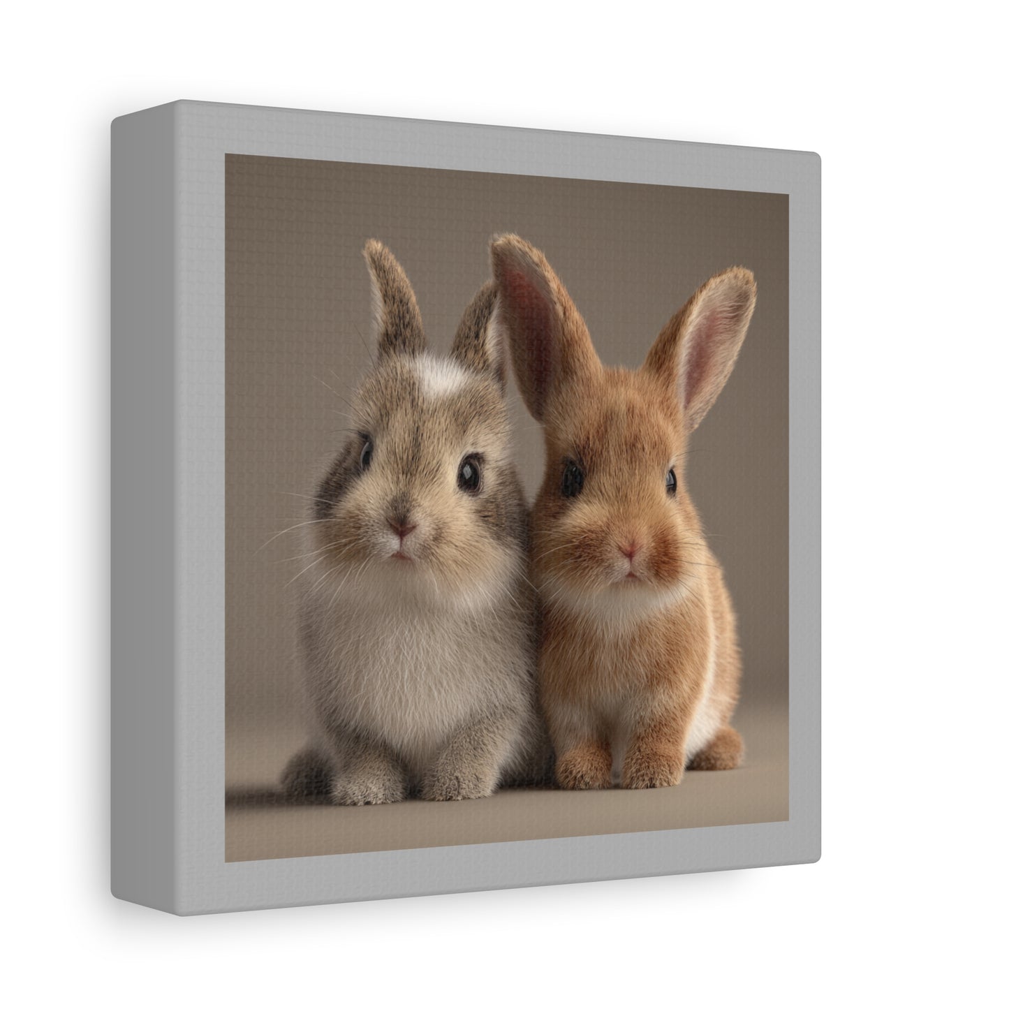 Canvas Print Baby Bunnies