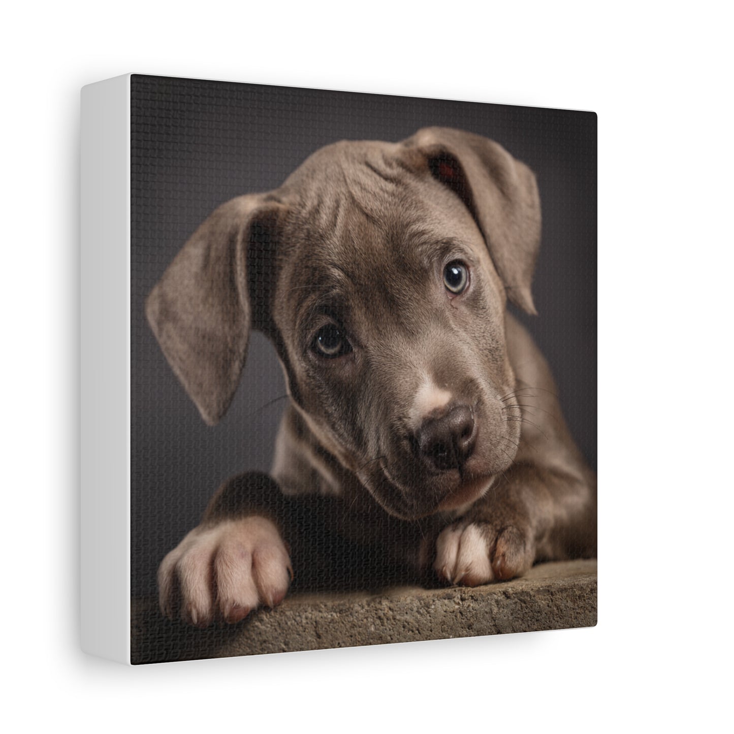 Puppy Portrait Canvas Art