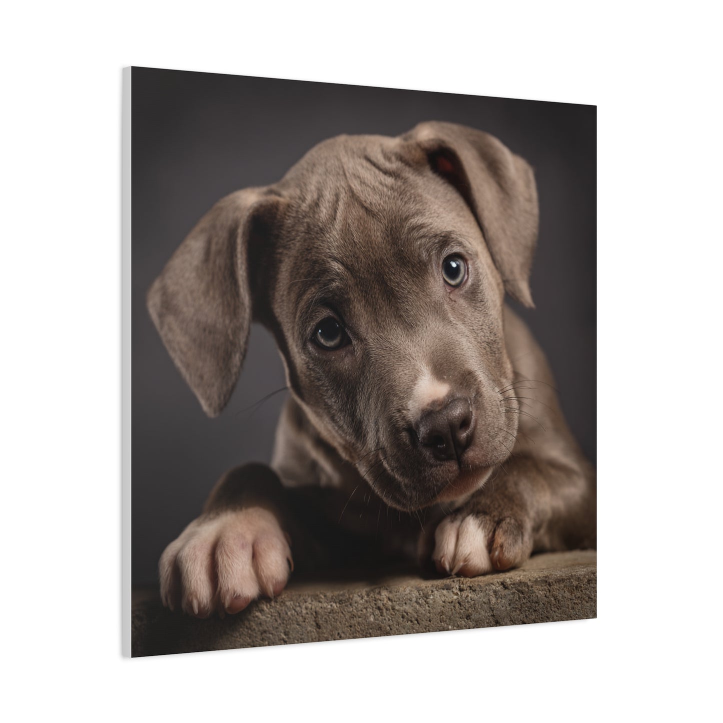 Puppy Portrait Canvas Art