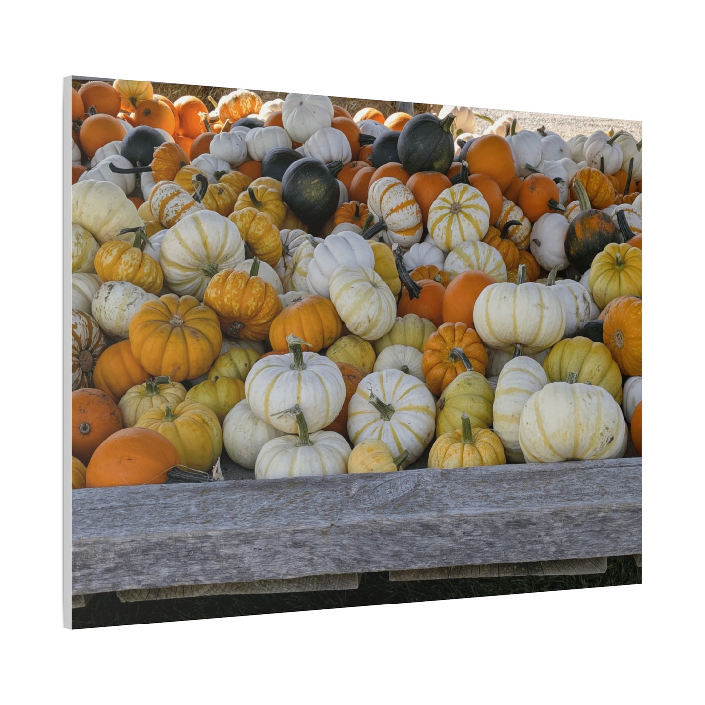 Autumn Pumpkin Canvas Wall Art