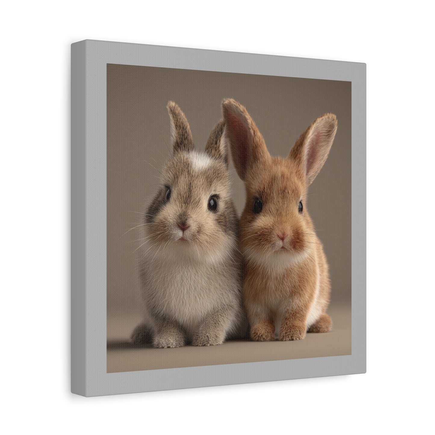 Canvas Print Baby Bunnies