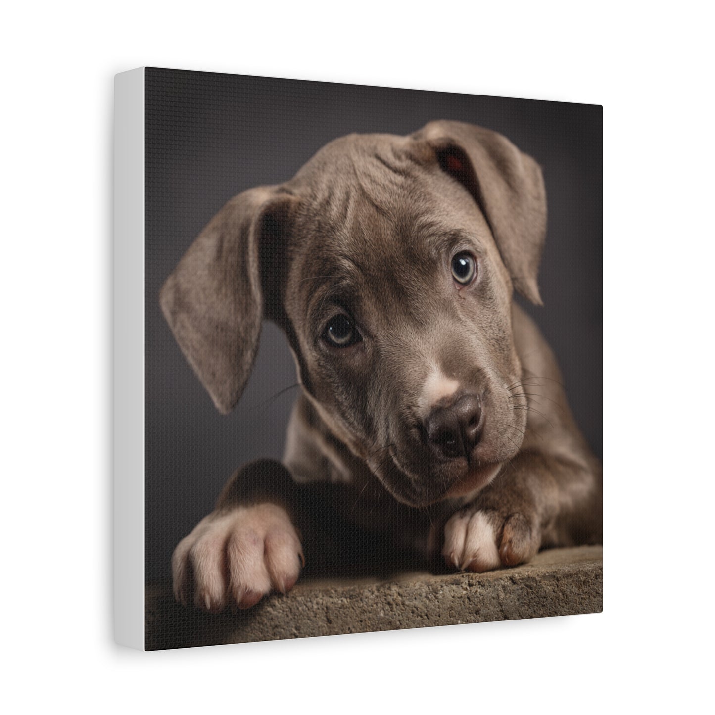 Puppy Portrait Canvas Art