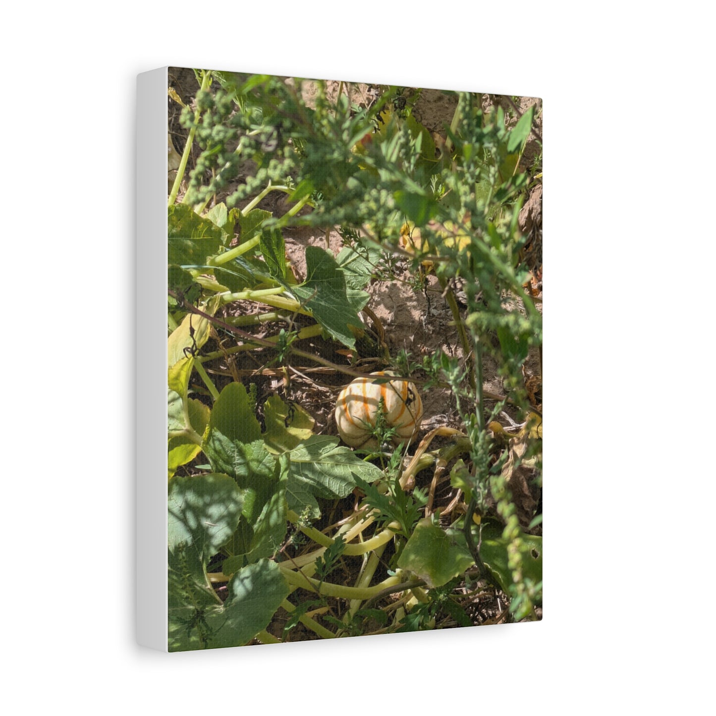Harvest Pumpkin Canvas Art Wall Decor